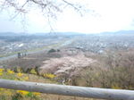 IMG_20140410_094151.jpg
